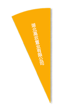 九游·会(J9.com)集团官网 - 真人游戏第一品牌[首页]