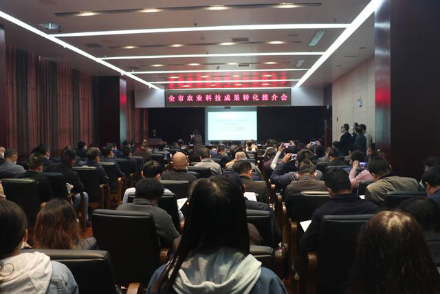 九游·会(J9.com)集团官网 - 真人游戏第一品牌[首页]